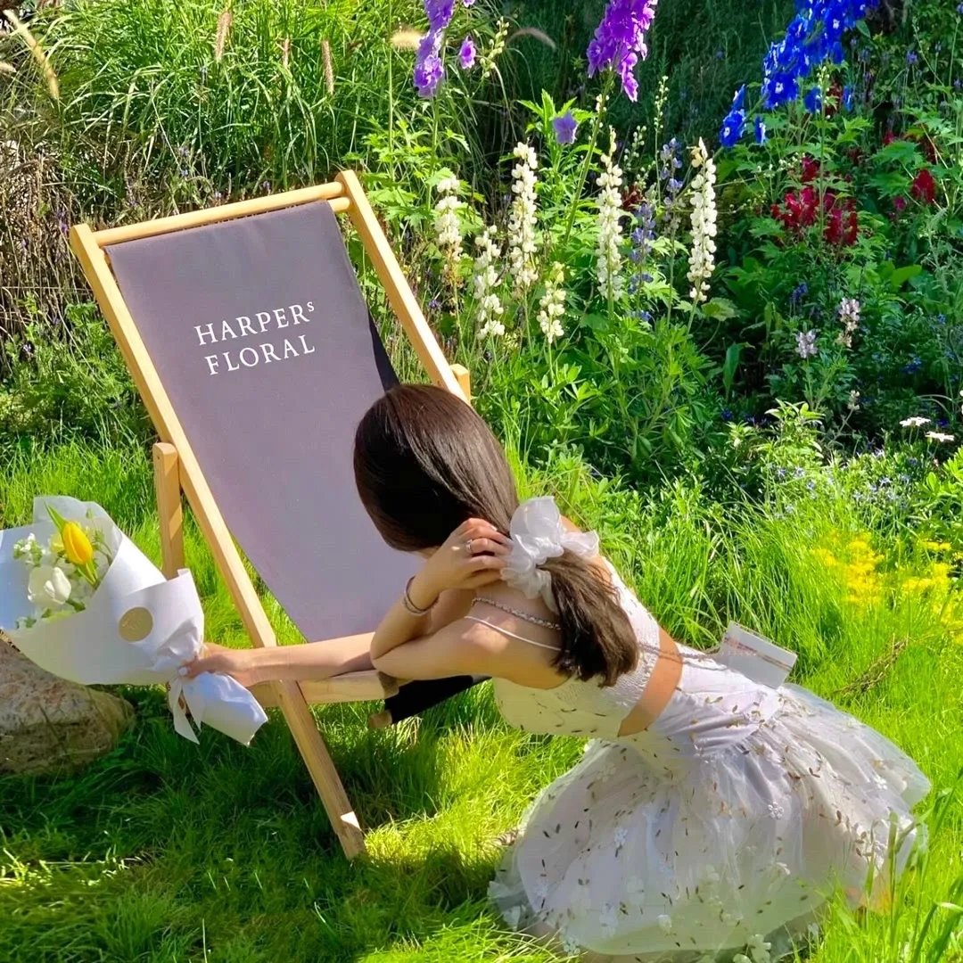 搞错联姻对象，太傅他又争又抢